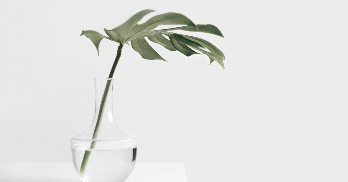 A single stem in a glass vase on a white table